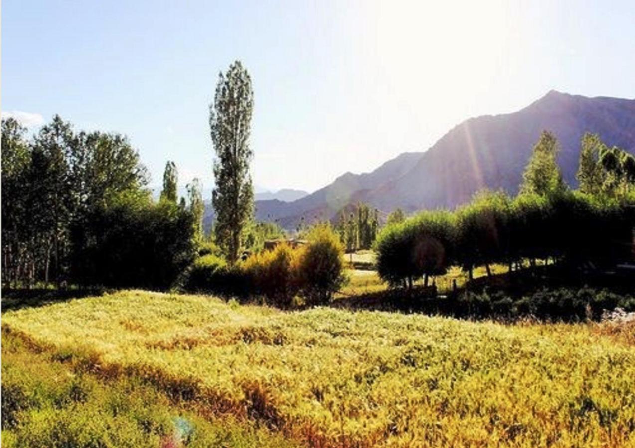 Hotel Himalayan Residency Ladakh Leh Exterior foto
